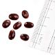 Loose Maroon Glass Transparent Oval Shaped  Beads For Jewelry Making (12 In Pack)