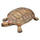Brass Turtle Figurine Home DÃ©cor Gifting Statue