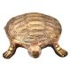 Brass Turtle Figurine Home DÃ©cor Gifting Statue