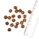 Brown Round Ball Shaped Jewelry Making Hand Painted Glass Loose Beads (12 in Pack)