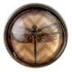 Elegant Dragonfly Inside Round Iron Glass Drawer Knobs