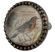 Sparrow Inside Round Iron Glass Dresser Knob