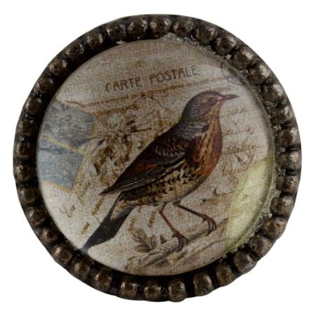 Sparrow Inside Round Iron Glass Dresser Knob