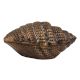 Brass Vintage Conch Shell Storage Box