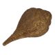 Blowing Brass Conch / Shank Engraved God And Goddess