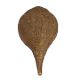 Blowing Brass Conch / Shank Engraved God And Goddess