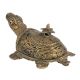Tribal Brass Turtle With Flower On Back