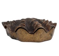 Lovely Box Like Shell Shape For English Arts And Accents