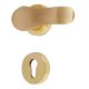 Handmade Golden Brush Finish Brass Contemporary Mortise Handle Set