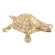 Brass Small Turtle - A Gift Of Wisdom And Knowledge