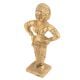 Goddess Rakhumai wife of Lord Vitthal Handmade Golden Brass statue