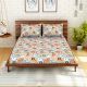 Multicolored Spaces 104 TC Cotton Double Bed Sheet with 2 Pillow Covers