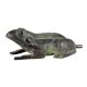 Vintage Special Frog Statue For Office Decor