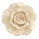 Cream Golden Rose Ceramic Cabinet Knobs