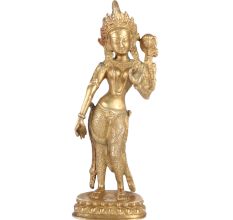 Golden Brass Tara Dei Statue