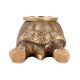 Brass Turtle Candle holder