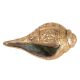Brass Shankh With Ganesha Carving