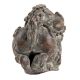 Feng Shui Brass Foo Dog Statue