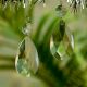Clear Glass Tear Drop Hanging Crystal Set of 20