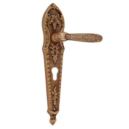 Antique Brass Mortise Door Handle