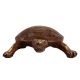Brass Tortoise Figurine For Good Luck