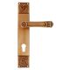 Elegant Brushed Brass Mortise Office Or Front Door Handle