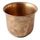 Brass Indoor Planter Pot
