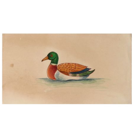Miniature Wild Duck In Water Watercolor Painting