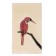 Pink Bird On Branch Miniature Painting