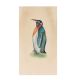 Flightless Bird Penguin Miniature Watercolor Painting
