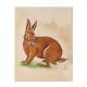 Brown Rabbit Canvas Water Color Painting