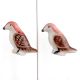Brown Feather Ceramic Bird Knob