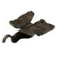 Antique Butterfly Iron Door Knocker
