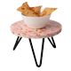 Wood And Resin Cake Plant Showpiece Decorative Stand With Iron Legs