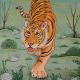 Royal  Bengal Tiger Animal Painting