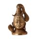 Brass Lord Gangadhara Shiva Head