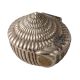 Silver Metal Sea Shell Storage Box