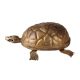 Carved Brass Tortoise Statue