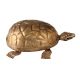 Carved Brass Tortoise Statue