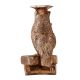 Brasss Wise Owl Staue with Diploma And Books