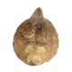Brass Engraved Conch Shell for Pooja