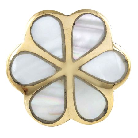 Pack of 6 Pieces Alyssum Flower Brass Shell Cabinet Knob