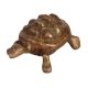 Lovely Brass Turtle for Home Decoration