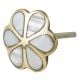 Pack of 6 Pieces Alyssum Flower Brass Shell Cabinet Knob