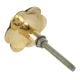 Pack of 6 Pieces Alyssum Flower Brass Shell Cabinet Knob