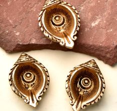 Conch Oil Lamp Diwali Diya Or Puja Lamps Pack of 3