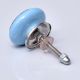 Turquoise Strewn Flat Knob