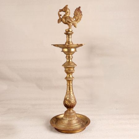 Shiny Golden Peacock Brass Oil Lamp Made of Premium Brass