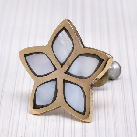 Golden Flower Mother of Pearl Dresser Knobs and Pulls
