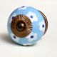 Sky Blue Flower Knob